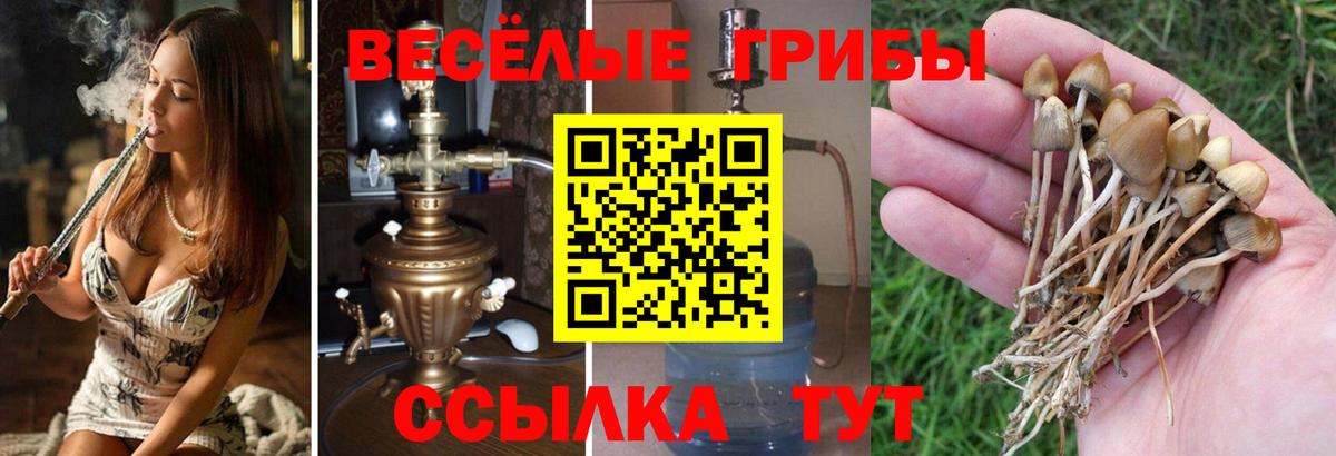 Корсаков  Псилоцибиновые грибы мухоморы  Вход с VPN 